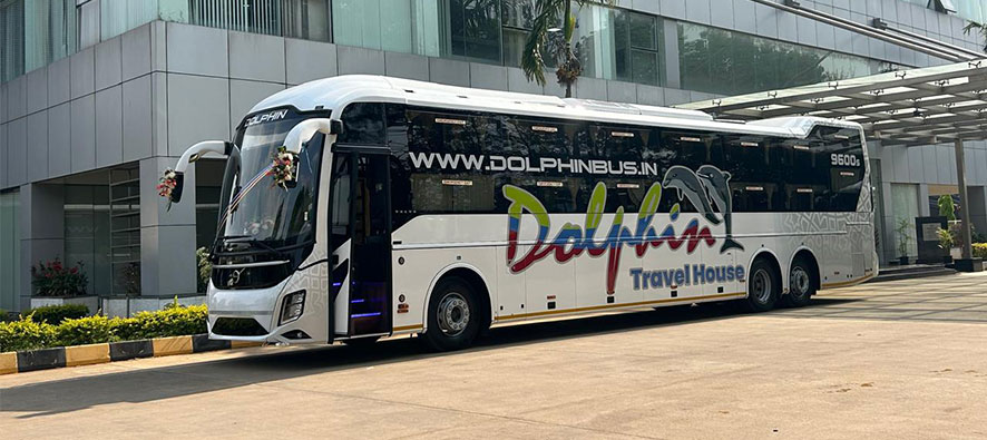 Dolphinew1